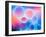 Circular Oild Drops on Water Surface with Colorful Bright Background-Abstract Oil Work-Framed Photographic Print
