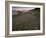 Circular Petroglyphs at the Edge of the Great Basin, Sierra Nevada Range in the Distance, Las Vegas-Dennis Flaherty-Framed Photographic Print