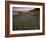 Circular Petroglyphs at the Edge of the Great Basin, Sierra Nevada Range in the Distance, Las Vegas-Dennis Flaherty-Framed Photographic Print