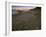 Circular Petroglyphs at the Edge of the Great Basin, Sierra Nevada Range in the Distance, Las Vegas-Dennis Flaherty-Framed Photographic Print