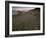 Circular Petroglyphs at the Edge of the Great Basin, Sierra Nevada Range in the Distance, Las Vegas-Dennis Flaherty-Framed Photographic Print