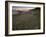 Circular Petroglyphs at the Edge of the Great Basin, Sierra Nevada Range in the Distance, Las Vegas-Dennis Flaherty-Framed Photographic Print