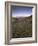 Circular Petroglyphs at the Edge of the Great Basin, Sierra Nevada Range in the Distance, Las Vegas-Dennis Flaherty-Framed Photographic Print