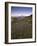 Circular Petroglyphs at the Edge of the Great Basin, Sierra Nevada Range in the Distance, Las Vegas-Dennis Flaherty-Framed Photographic Print