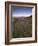 Circular Petroglyphs at the Edge of the Great Basin, Sierra Nevada Range in the Distance, Las Vegas-Dennis Flaherty-Framed Photographic Print