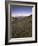 Circular Petroglyphs at the Edge of the Great Basin, Sierra Nevada Range in the Distance, Las Vegas-Dennis Flaherty-Framed Photographic Print