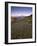 Circular Petroglyphs at the Edge of the Great Basin, Sierra Nevada Range in the Distance, Las Vegas-Dennis Flaherty-Framed Photographic Print