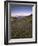 Circular Petroglyphs at the Edge of the Great Basin, Sierra Nevada Range in the Distance, Las Vegas-Dennis Flaherty-Framed Photographic Print