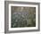 Circular Petroglyphs at the Edge of the Great Basin, Sierra Nevada Range in the Distance, Las Vegas-Dennis Flaherty-Framed Photographic Print