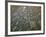 Circular Petroglyphs at the Edge of the Great Basin, Sierra Nevada Range in the Distance, Las Vegas-Dennis Flaherty-Framed Photographic Print