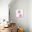 Circular Pink I-Natalie Harris-Art Print displayed on a wall