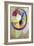 Circular Shapes, Sun No. 2, 1912-13 (Peinture a La Colle on Canvas)-Robert Delaunay-Framed Giclee Print