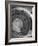 Circular Stairs of Bremen Trade School-Dmitri Kessel-Framed Photographic Print