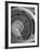 Circular Stairs of Bremen Trade School-Dmitri Kessel-Framed Photographic Print