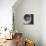 Circular Vision-Chris Ware-Photographic Print displayed on a wall