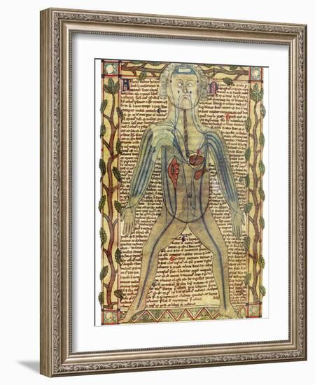 Circulatory System, 17th Century-Science Photo Library-Framed Photographic Print