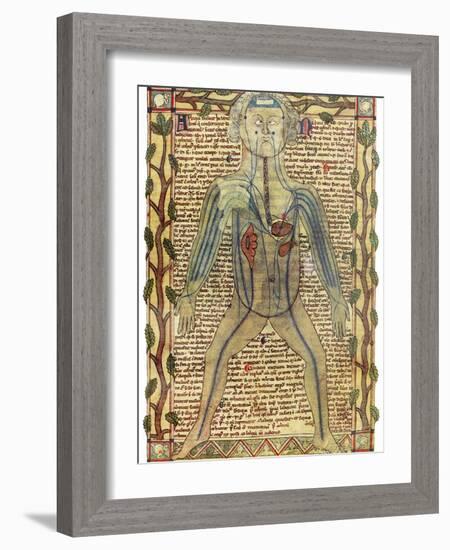 Circulatory System, 17th Century-Science Photo Library-Framed Photographic Print