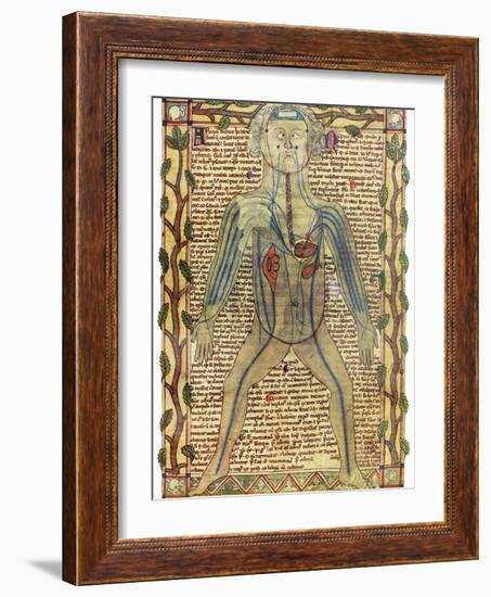 Circulatory System, 17th Century-Science Photo Library-Framed Photographic Print