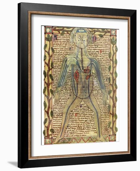 Circulatory System, 17th Century-Science Photo Library-Framed Photographic Print