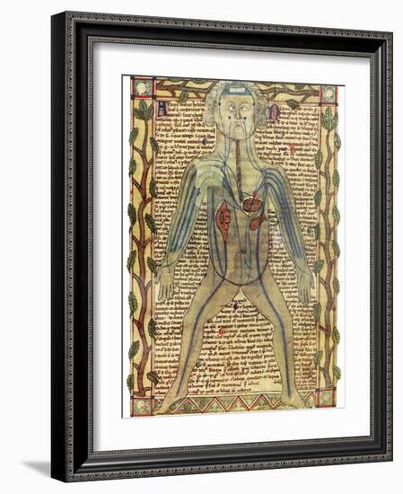 Circulatory System, 17th Century-Science Photo Library-Framed Photographic Print