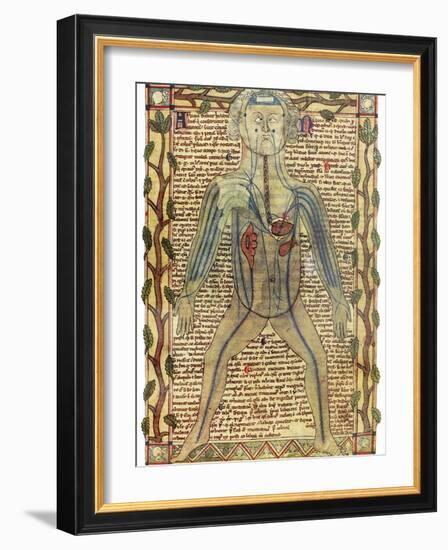 Circulatory System, 17th Century-Science Photo Library-Framed Photographic Print