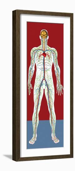 Circulatory System, Artwork-Mehau Kulyk-Framed Photographic Print