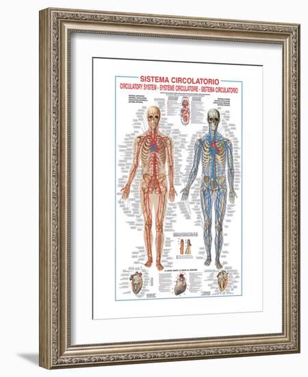 Circulatory System-Libero Patrignani-Framed Art Print