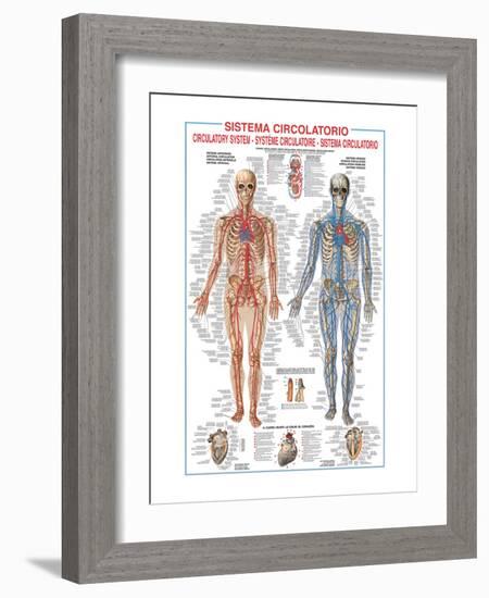 Circulatory System-Libero Patrignani-Framed Art Print