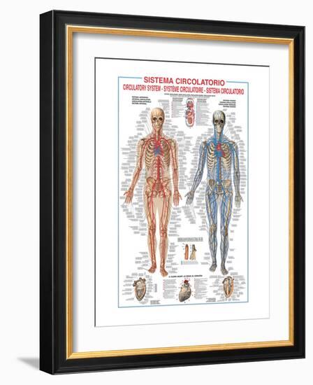 Circulatory System-Libero Patrignani-Framed Art Print