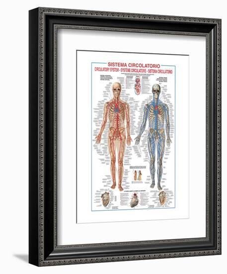 Circulatory System-Libero Patrignani-Framed Art Print