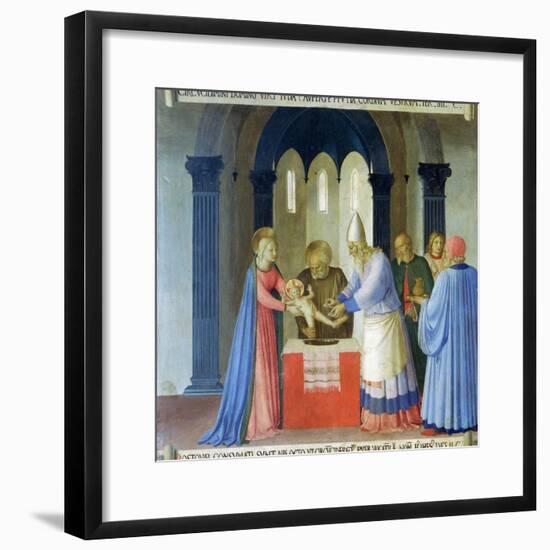 Circumcision of Jesus, Story of the Life of Christ-Fra Angelico-Framed Giclee Print