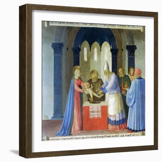 Circumcision of Jesus, Story of the Life of Christ-Fra Angelico-Framed Giclee Print