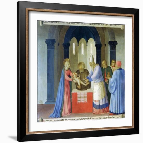 Circumcision of Jesus, Story of the Life of Christ-Fra Angelico-Framed Giclee Print