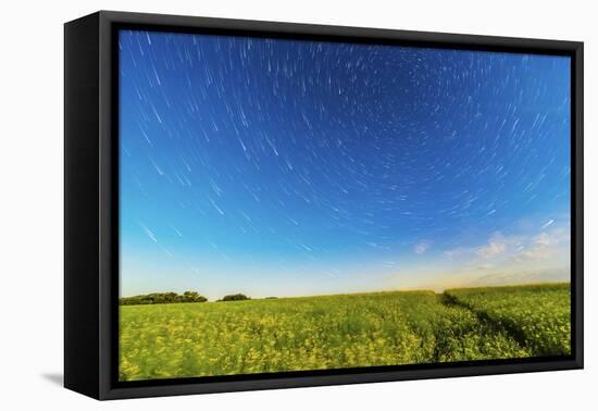 Circumpolar Star Trails over a Canola Field in Southern Alberta, Canada-null-Framed Premier Image Canvas