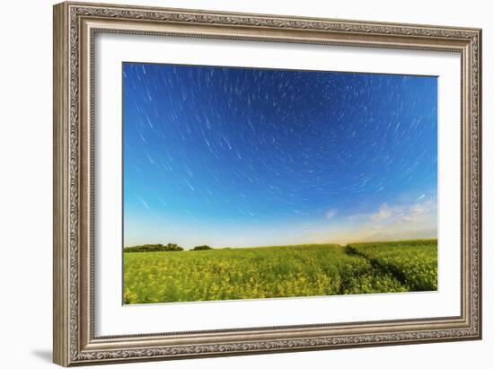 Circumpolar Star Trails over a Canola Field in Southern Alberta, Canada-null-Framed Photographic Print