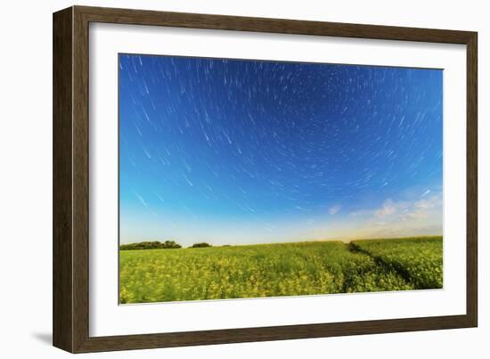 Circumpolar Star Trails over a Canola Field in Southern Alberta, Canada-null-Framed Photographic Print