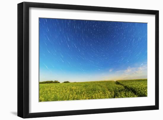 Circumpolar Star Trails over a Canola Field in Southern Alberta, Canada-null-Framed Photographic Print