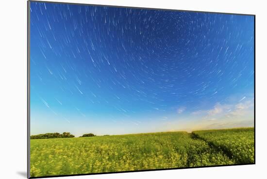 Circumpolar Star Trails over a Canola Field in Southern Alberta, Canada-null-Mounted Photographic Print