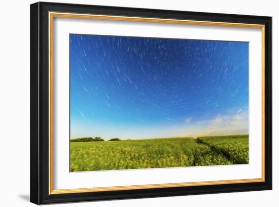 Circumpolar Star Trails over a Canola Field in Southern Alberta, Canada-null-Framed Photographic Print