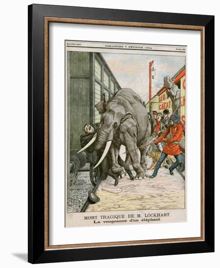 Circus Elephant Accident-null-Framed Art Print