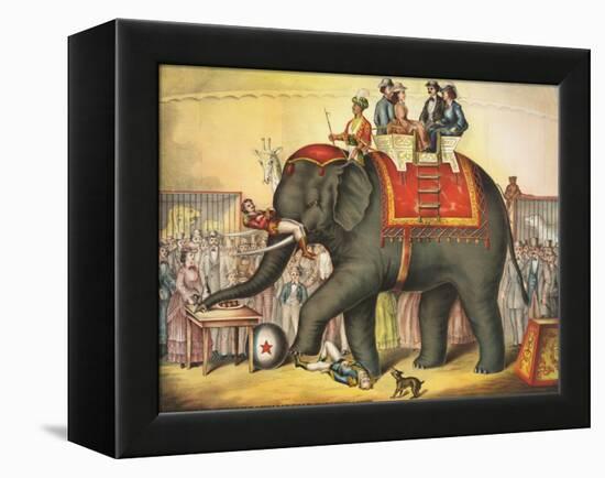 Circus Elephant and Riders-null-Framed Premier Image Canvas