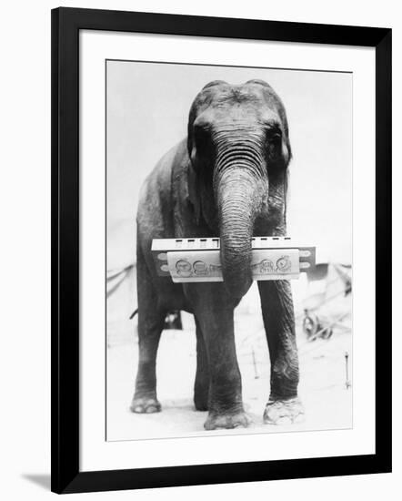 Photographic Print, , large