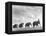 Circus Elephants Walking in Line-Cornell Capa-Framed Premier Image Canvas