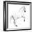 Circus Horse, 2015,-Ele Grafton-Framed Giclee Print