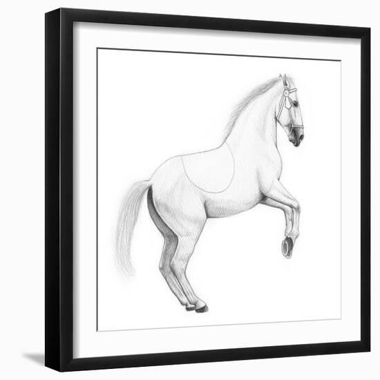 Circus Horse, 2015,-Ele Grafton-Framed Giclee Print