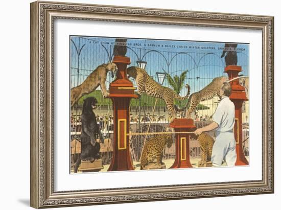 Circus Leopards, Panther, Lion, Sarasota, Florida-null-Framed Art Print