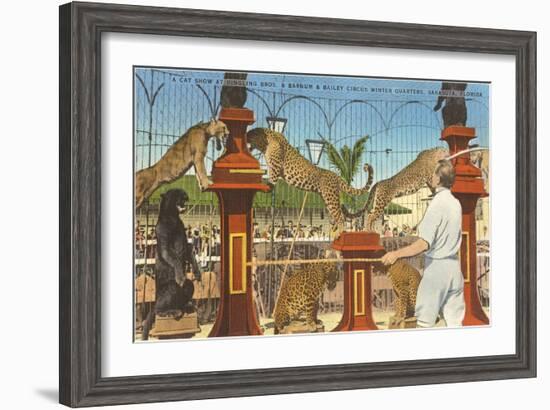 Circus Leopards, Panther, Lion, Sarasota, Florida-null-Framed Art Print