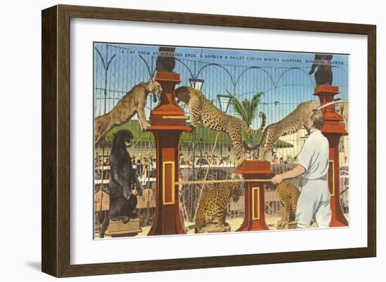 Circus Leopards, Panther, Lion, Sarasota, Florida-null-Framed Art Print