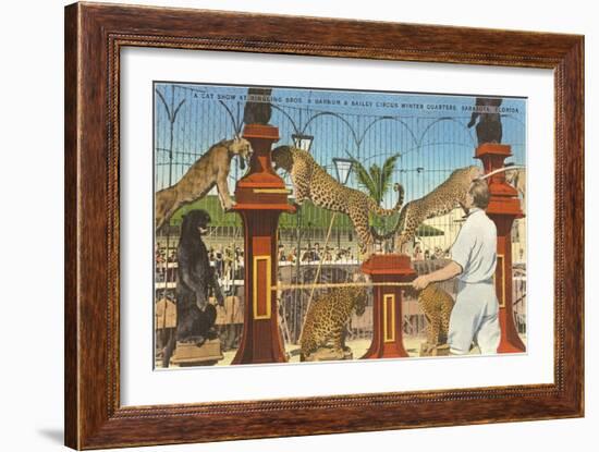 Circus Leopards, Panther, Lion, Sarasota, Florida-null-Framed Art Print