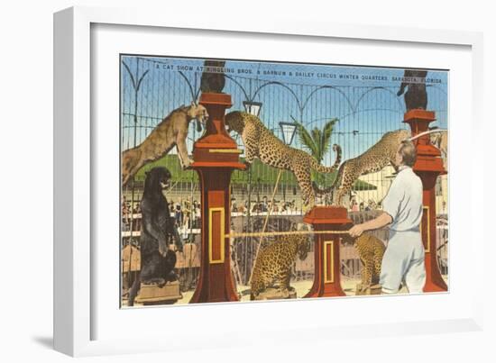 Circus Leopards, Panther, Lion, Sarasota, Florida-null-Framed Art Print